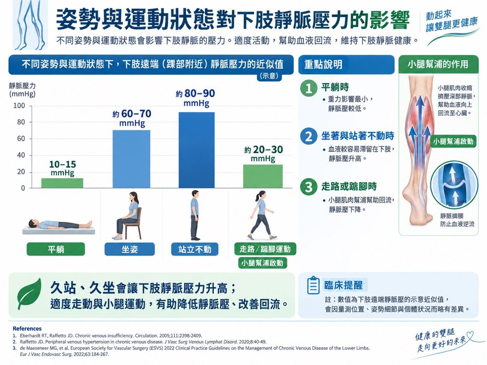 姿勢與運動狀態對下肢靜脈壓力的影響圖：平躺約10-15mmHg、坐姿約60-70mmHg、站立不動約80-90mmHg、走路或踮腳運動約20-30mmHg，並說明小腿肌肉幫浦收縮擠壓深部靜脈、幫助血液回流至心臟。